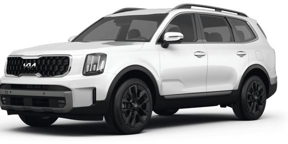 KIA TELLURIDE 2023 5XYP5DGC2PG376968 image