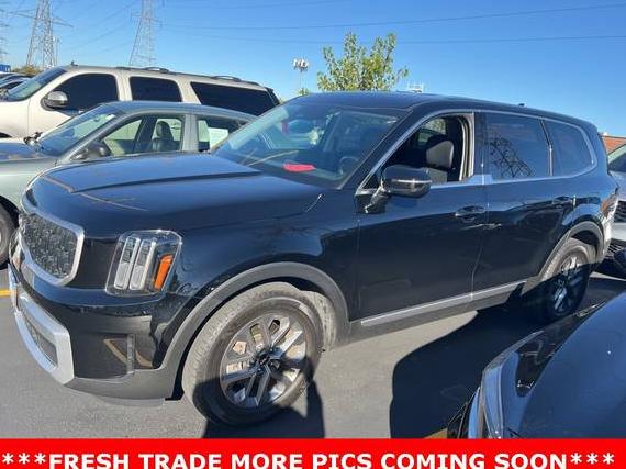 KIA TELLURIDE 2023 5XYP2DGC7PG381303 image