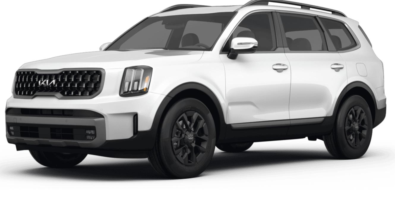 KIA TELLURIDE 2023 5XYP5DGC2PG387128 image