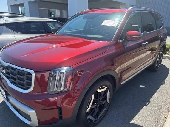 KIA TELLURIDE 2023 5XYP64GC0PG370888 image