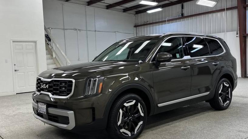 KIA TELLURIDE 2023 5XYP6DGC6PG403568 image