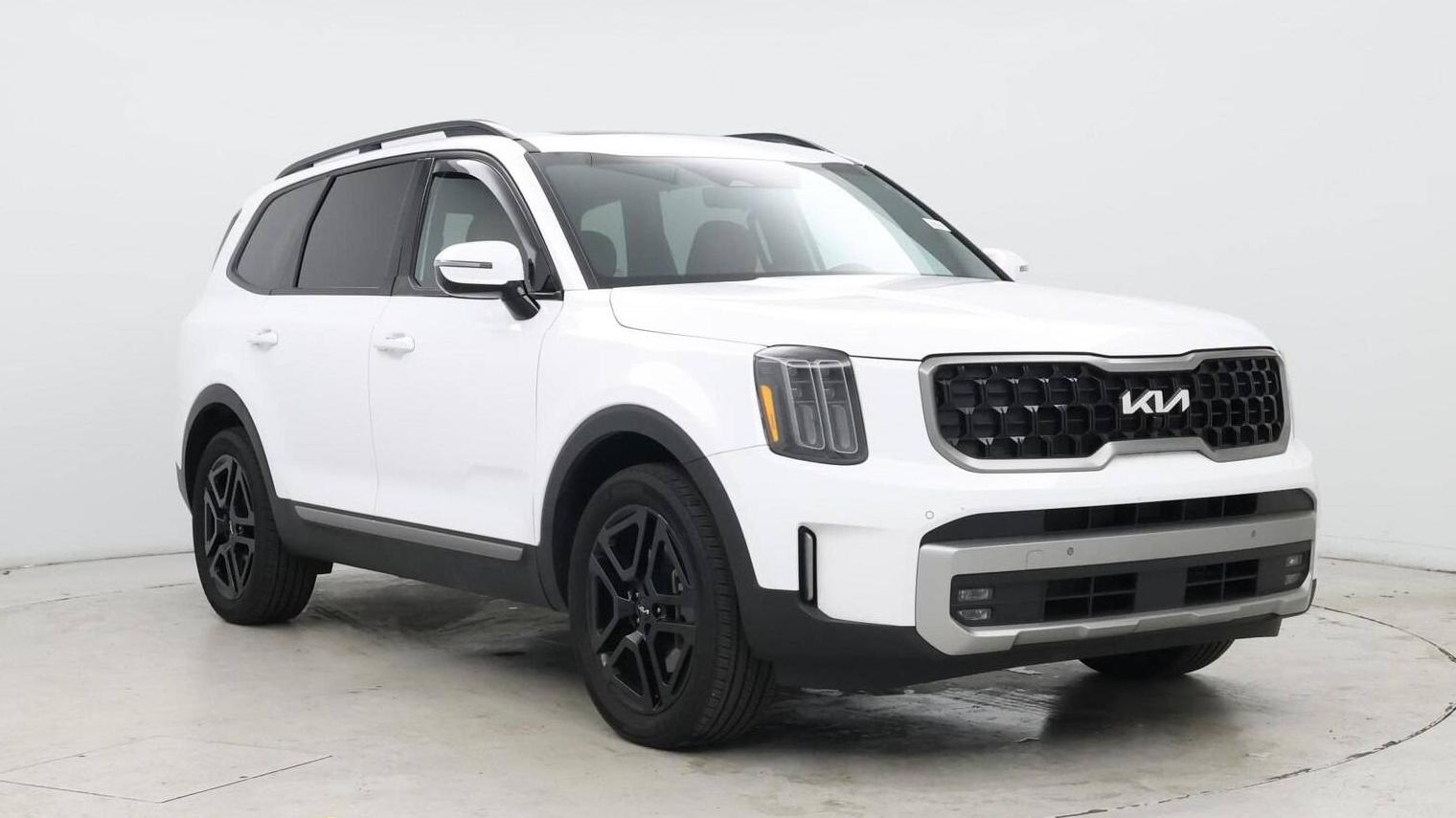 KIA TELLURIDE 2023 5XYP5DGC4PG381850 image