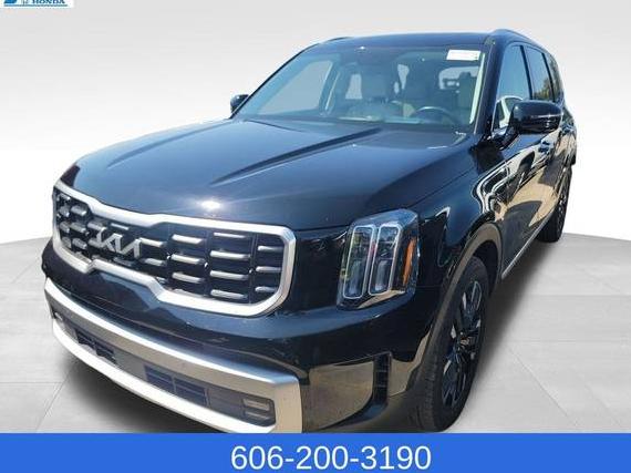 KIA TELLURIDE 2023 5XYP5DGC6PG342838 image