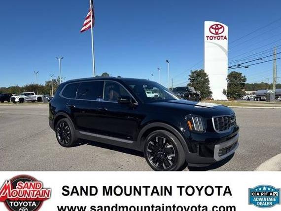 KIA TELLURIDE 2023 5XYP5DGC0PG401978 image