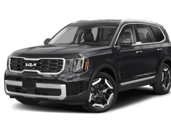 KIA TELLURIDE 2023 5XYP6DGC3PG329283 image