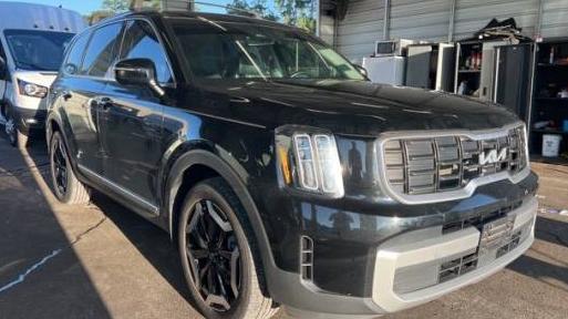 KIA TELLURIDE 2023 5XYP6DGCXPG345948 image