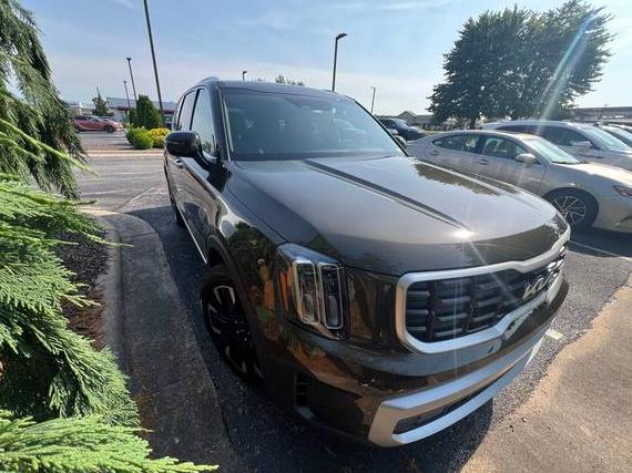 KIA TELLURIDE 2023 5XYP5DGC6PG327028 image
