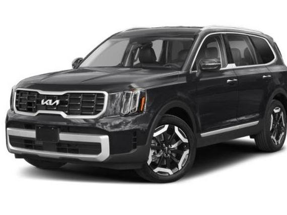 KIA TELLURIDE 2023 5XYP64GC4PG383241 image