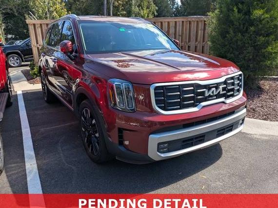 KIA TELLURIDE 2023 5XYP5DGC5PG365091 image