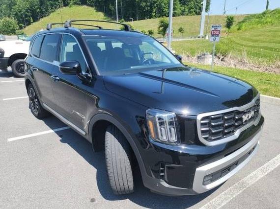 KIA TELLURIDE 2023 5XYP54GC6PG373975 image