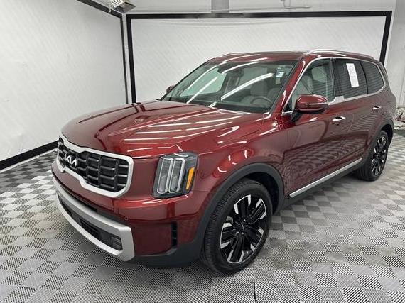 KIA TELLURIDE 2023 5XYP54GC5PG342734 image