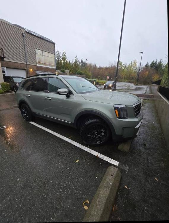 KIA TELLURIDE 2023 5XYP5DGC8PG373928 image
