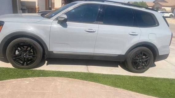 KIA TELLURIDE 2023 5XYP3DGC1PG384503 image