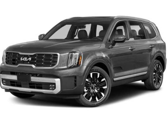 KIA TELLURIDE 2023 5XYP5DGC1PG355190 image