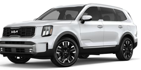 KIA TELLURIDE 2023 5XYP2DGC8PG358676 image