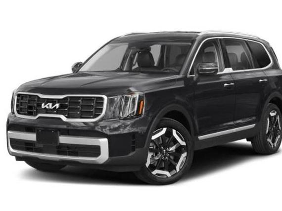 KIA TELLURIDE 2023 5XYP6DGC8PG330400 image