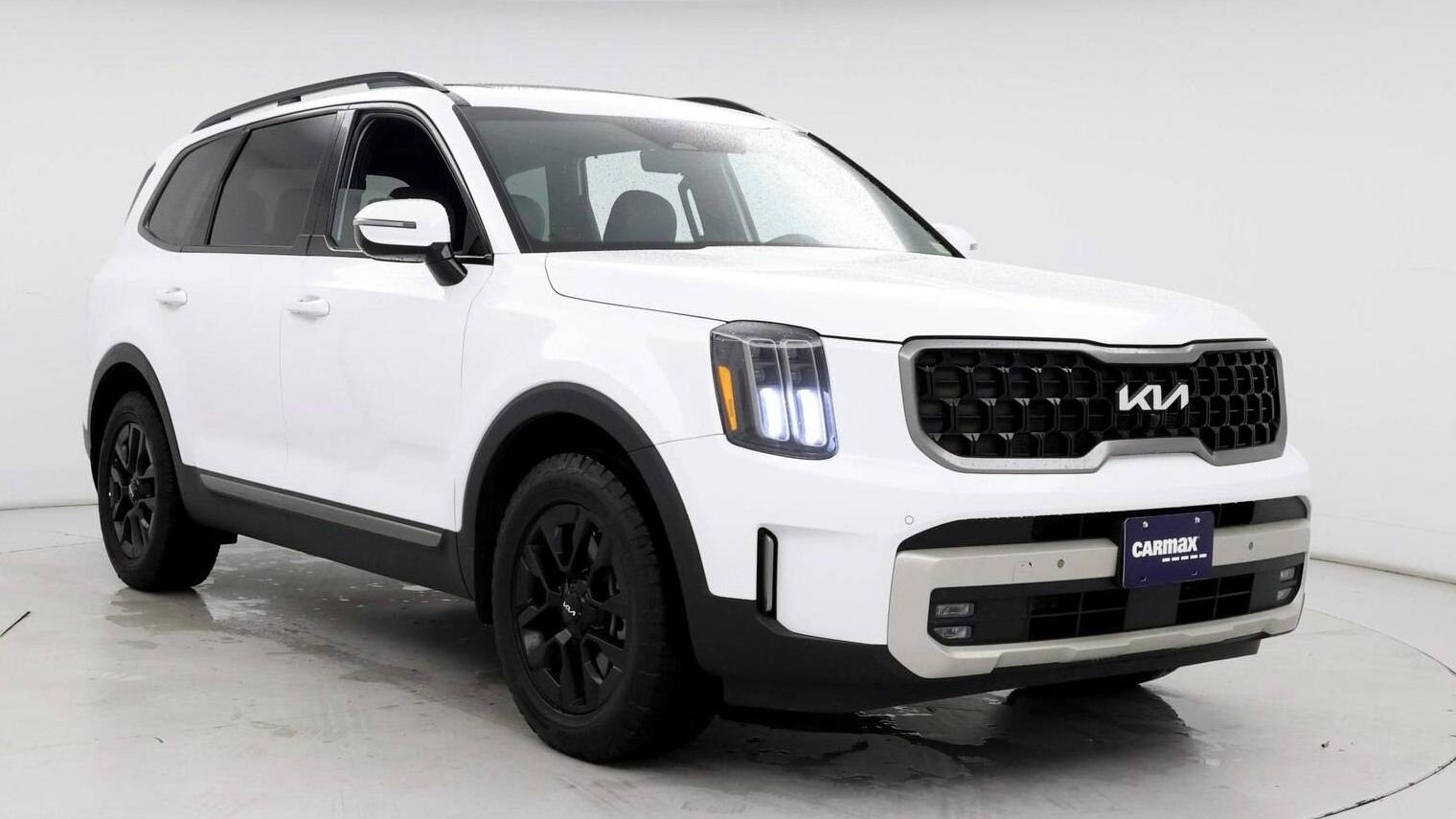 KIA TELLURIDE 2023 5XYP5DGC2PG339659 image