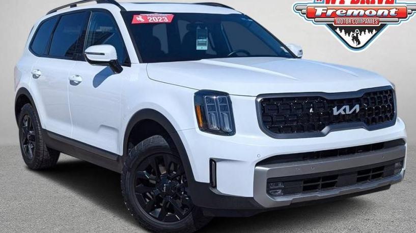 KIA TELLURIDE 2023 5XYP5DGC7PG349264 image