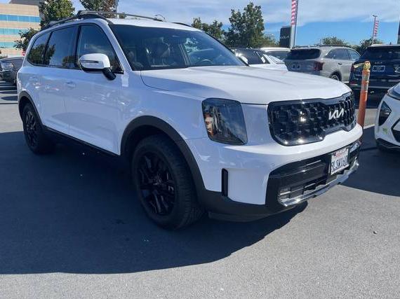 KIA TELLURIDE 2024 5XYP5DGC8RG486765 image
