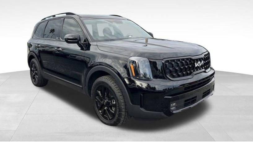 KIA TELLURIDE 2024 5XYP5DGC1RG440369 image