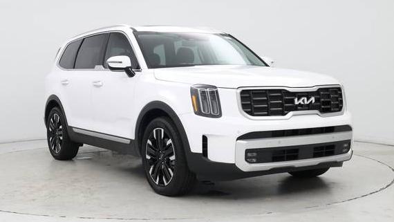 KIA TELLURIDE 2024 5XYP5DGC8RG525323 image