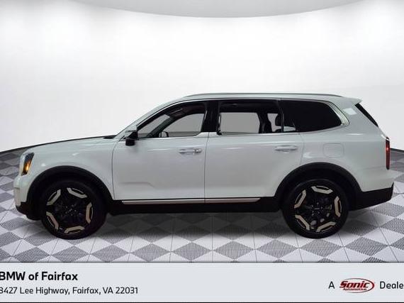 KIA TELLURIDE 2024 5XYP64GC3RG434263 image