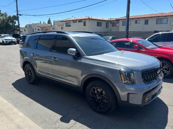 KIA TELLURIDE 2024 5XYP5DGC3RG479626 image