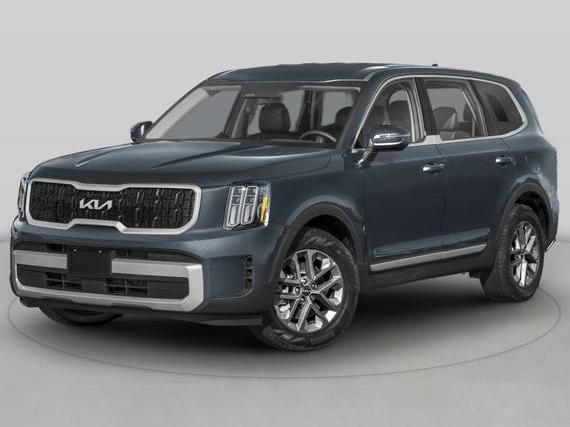 KIA TELLURIDE 2024 5XYP5DGC6RG506334 image