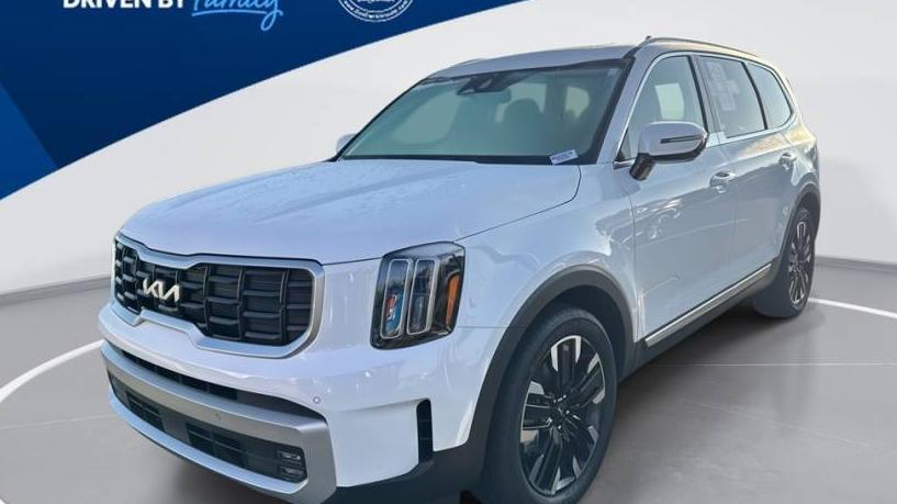 KIA TELLURIDE 2024 5XYP5DGC7RG434270 image