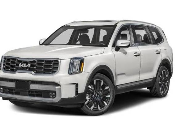 KIA TELLURIDE 2024 5XYP5DGC3RG549772 image
