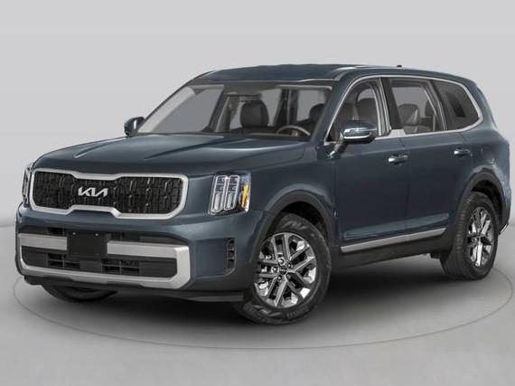 KIA TELLURIDE 2024 5XYP5DGC2RG454846 image