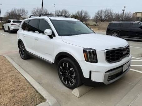 KIA TELLURIDE 2024 5XYP5DGC9RG415364 image