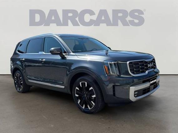 KIA TELLURIDE 2024 5XYP5DGC4RG433318 image