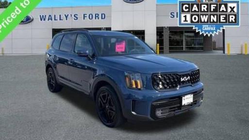 KIA TELLURIDE 2024 5XYP5DGC6RG441937 image