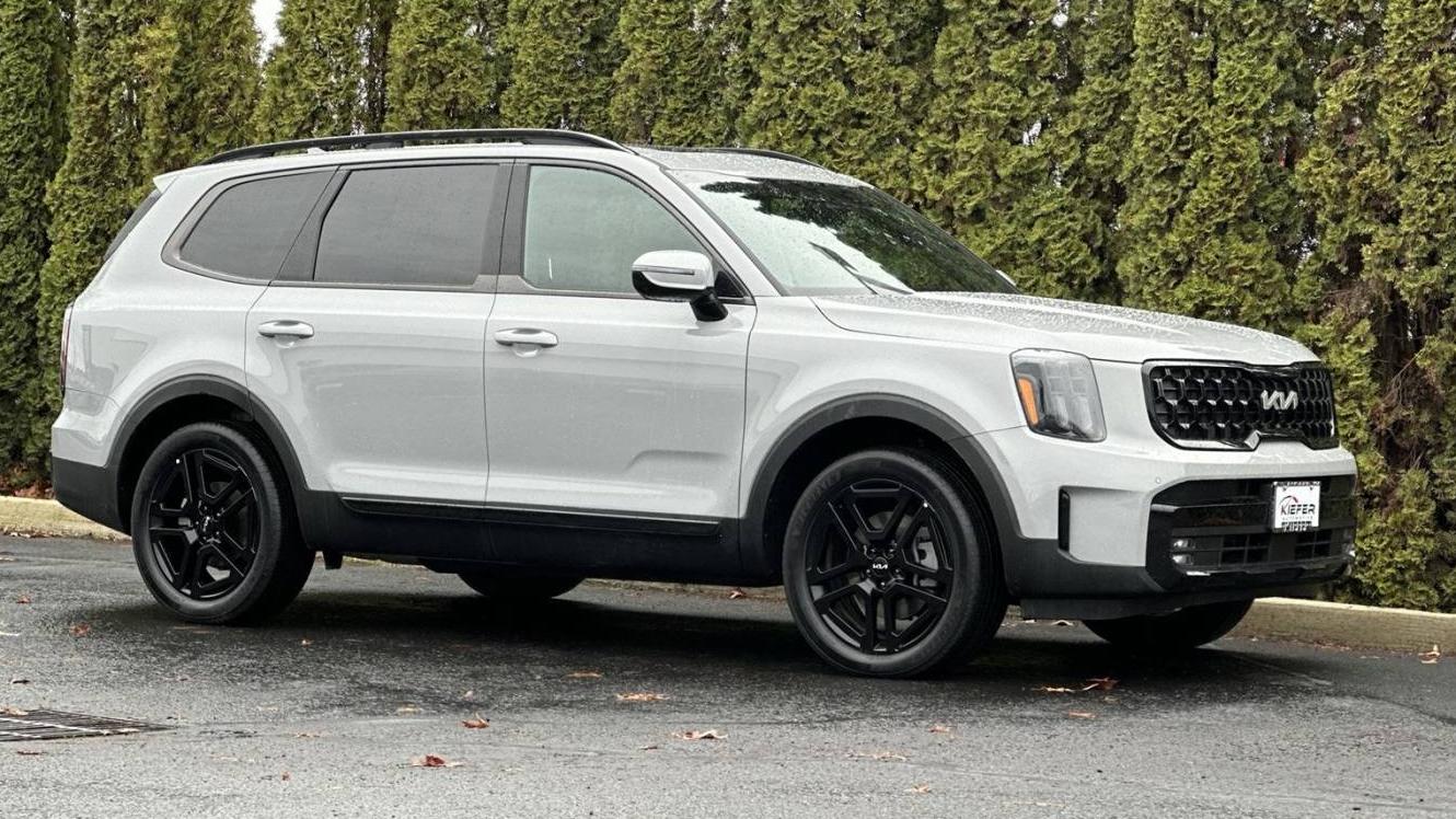 KIA TELLURIDE 2024 5XYP5DGC4RG493440 image