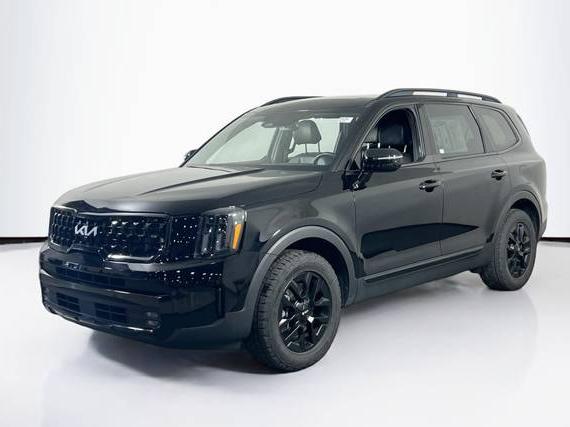 KIA TELLURIDE 2024 5XYP5DGC5RG422862 image