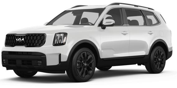 KIA TELLURIDE 2024 5XYP5DGC8RG492338 image