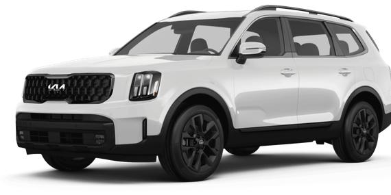 KIA TELLURIDE 2024 5XYP3DGCXRG521067 image