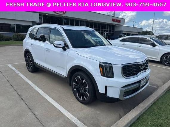 KIA TELLURIDE 2024 5XYP5DGC5RG440262 image