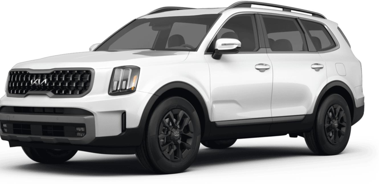 KIA TELLURIDE 2024 5XYP5DGC0RG453310 image