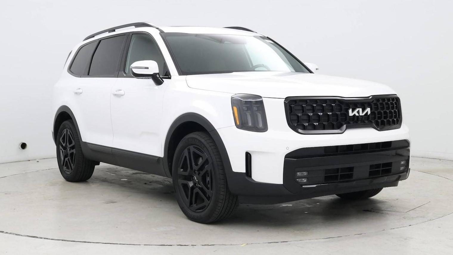 KIA TELLURIDE 2024 5XYP5DGC0RG545856 image