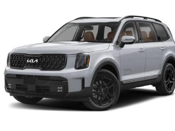 KIA TELLURIDE 2024 5XYP5DGC0RG439889 image