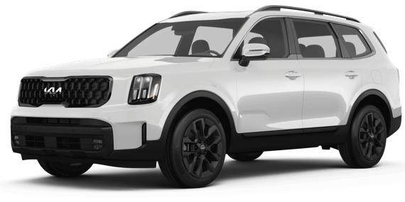 KIA TELLURIDE 2024 5XYP5DGC8RG507761 image