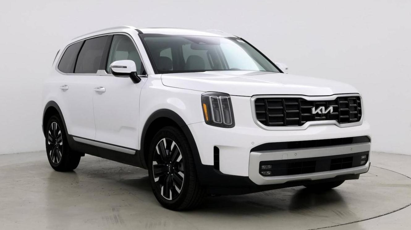 KIA TELLURIDE 2024 5XYP5DGC7RG466698 image