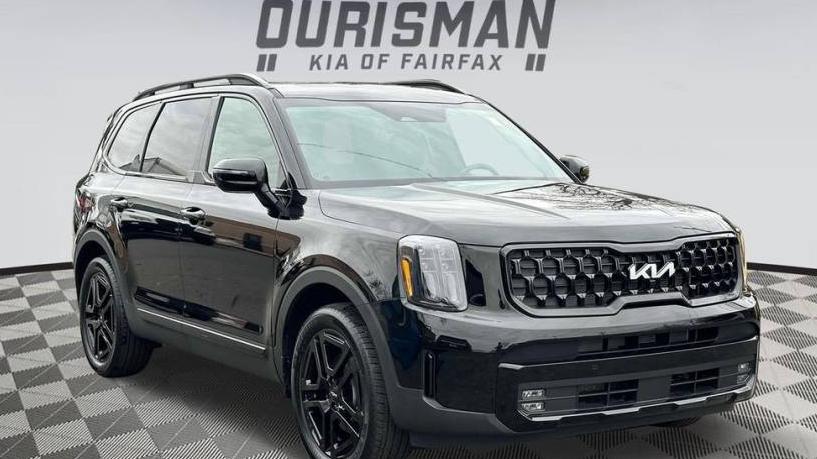 KIA TELLURIDE 2024 5XYP5DGC1RG441666 image