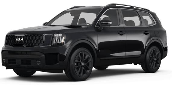 KIA TELLURIDE 2024 5XYP5DGC8RG469576 image