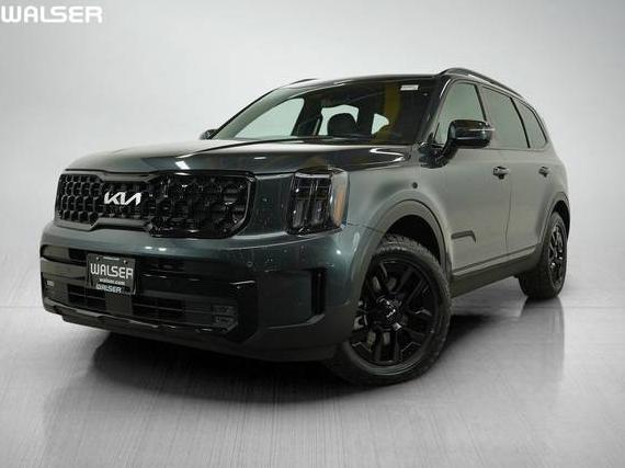 KIA TELLURIDE 2024 5XYP5DGC9RG429359 image