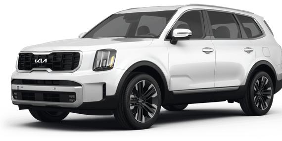 KIA TELLURIDE 2024 5XYP5DGC7RG473957 image