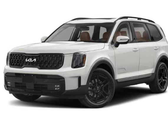 KIA TELLURIDE 2024 5XYP5DGC8RG414433 image