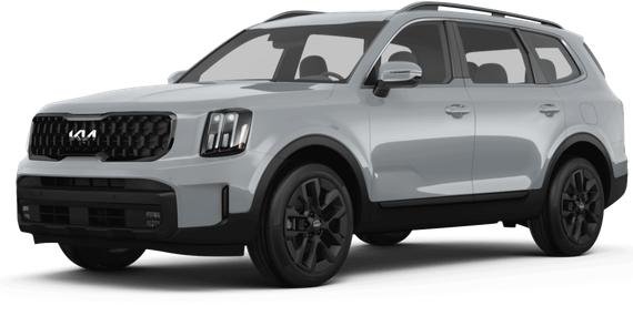 KIA TELLURIDE 2024 5XYP5DGC6RG461797 image
